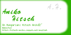 aniko hitsch business card